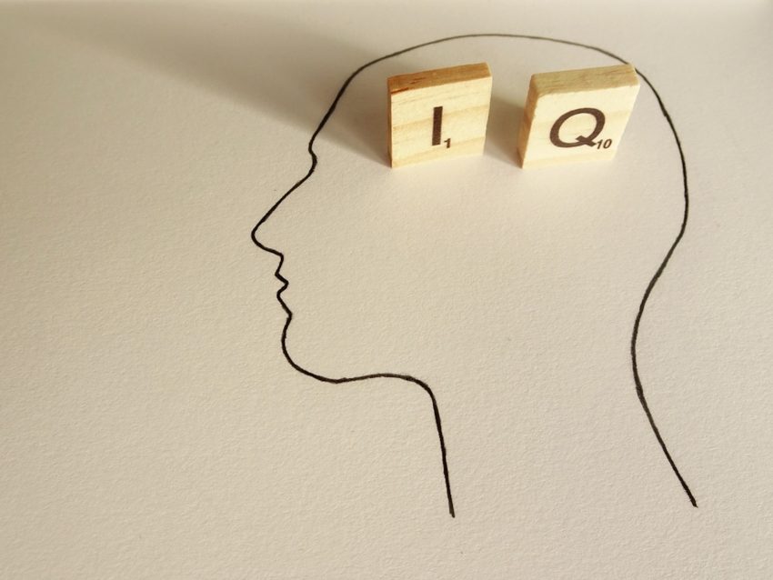 IQ Scores and Personality Traits