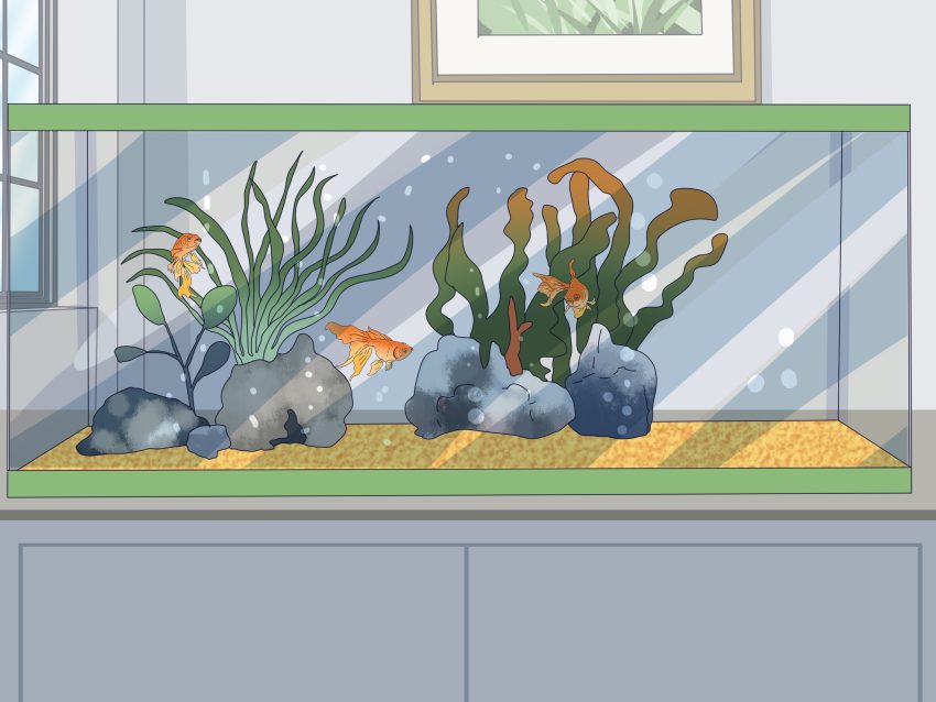 Create a Peaceful Oasis: Find Solace with a Delightful Fish Tank